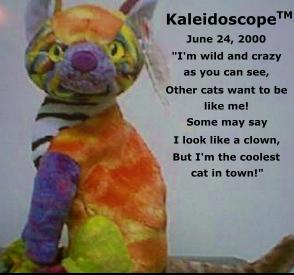 ty kaleidoscope cat