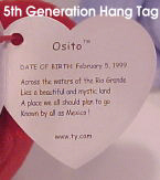 Ty Beanie Babies: Inside of Heart Tag